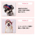 pipi サンバイザー ペット用品 26SS