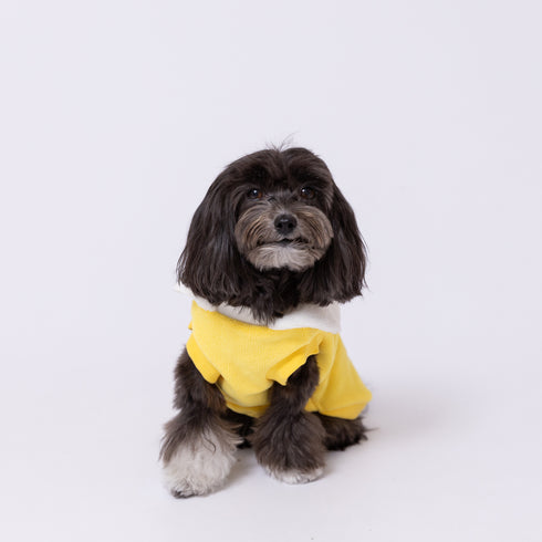 【PEANUTS】スヌーピー フリースウエア ペット用品