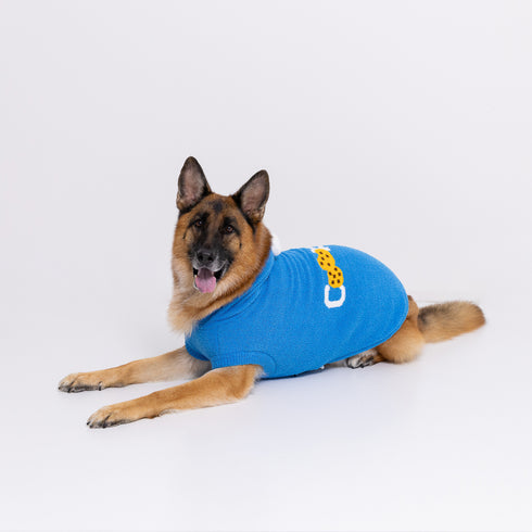 セサミストリート なりきりニットウエア中・大型犬 ペット用品 エルモ クッキーモンスター ビッグバード
