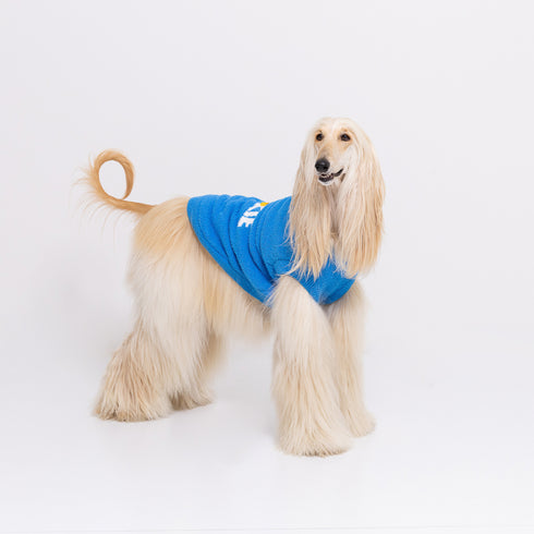 セサミストリート なりきりニットウエア中・大型犬 ペット用品 エルモ クッキーモンスター ビッグバード