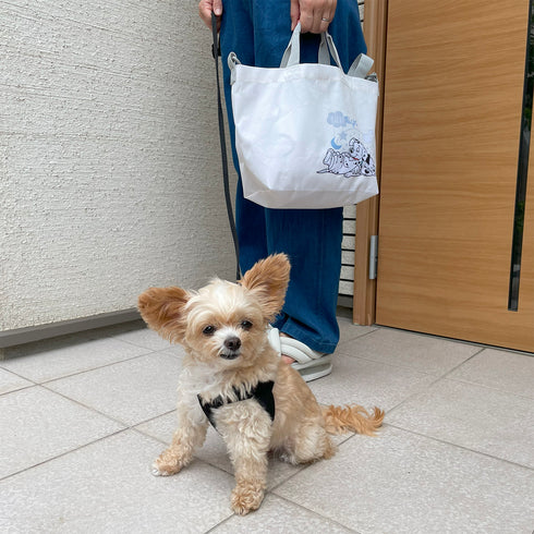 101匹お散歩バッグ