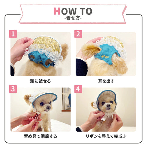 pipi サンバイザー ペット用品 26SS