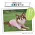 【PET THREE】防虫 Tシャツ ペット用品 26SS