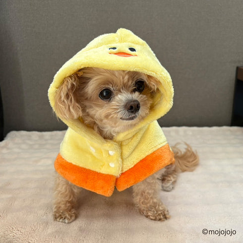 mojojojo ポンチョ トリ ペット用品 26AW
