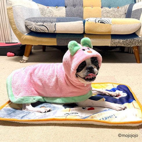mojojojo ポンチョ ウサギ ペット用品 26AW
