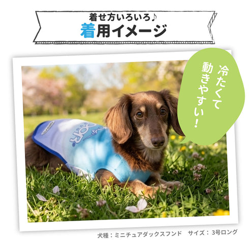 OUTDOOR PRODUCTS グラデーションクールタンク ペット用品 26SS