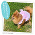 pipi ギンガムチェック ワンピース ピンク/ブルー 犬 いぬ 犬服 ペットウェア ドッグウェア 春服 夏服 春夏服 ミニチュアダックス 日焼け対策 女の子 フリル かわいい