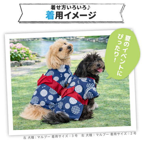 pipi 蜻蛉柄浴衣 ペット用品 26SS