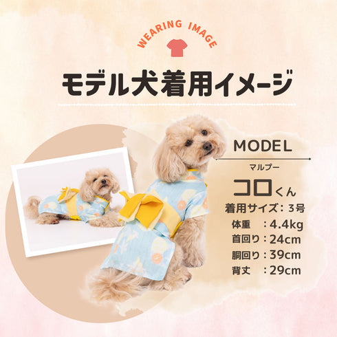 pipi うさぎ柄浴衣 ペット用品 26SS