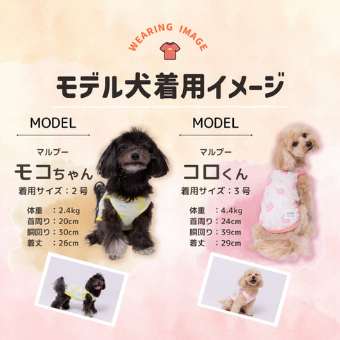 pipi フルーツ柄タンク ペット用品 26SS