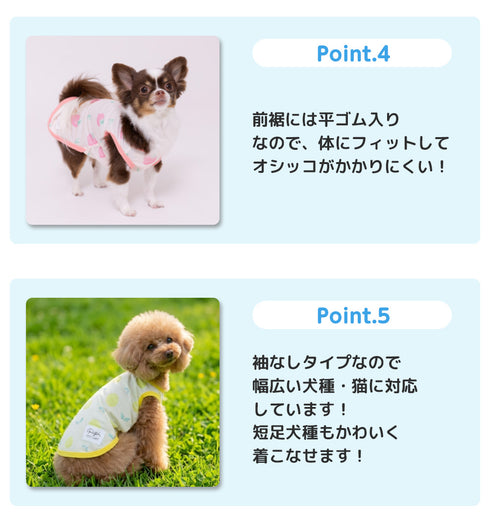 pipi フルーツ柄タンク ペット用品 26SS