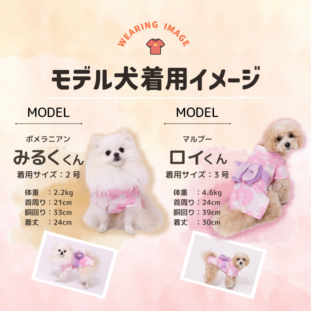 pipi 芍薬柄浴衣 ペット用品
