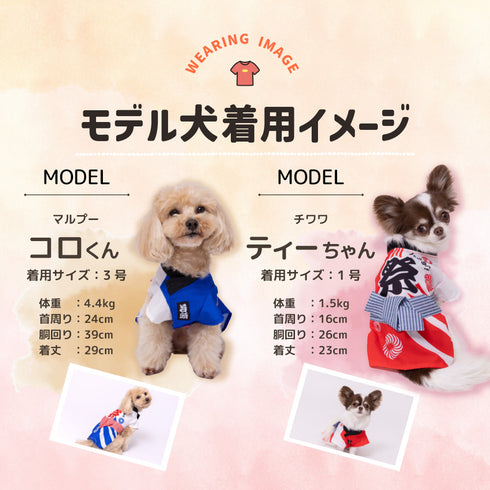pipi お祭りはっぴ ペット用品 26SS