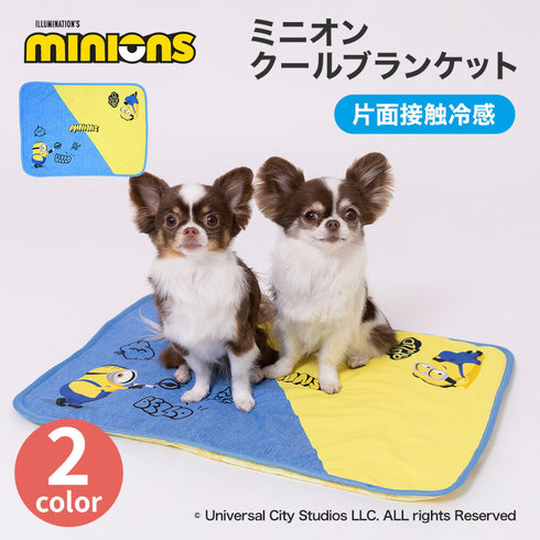 minion ミニオン クールブランケット ペット用品 26SS
