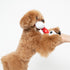 PEANUTS ピーナッツ SNOOPY スヌーピーカラカラトイ カラカラ鳴るよ 犬のおもちゃ 猫のおもちゃ 鈴入り