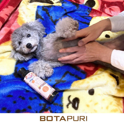 ボタピュリ(BOTAPURI) トイプードル専用 臭い取りローション