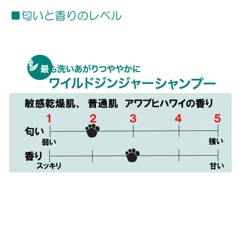 ワイルドジンジャーシャンプー 473ml