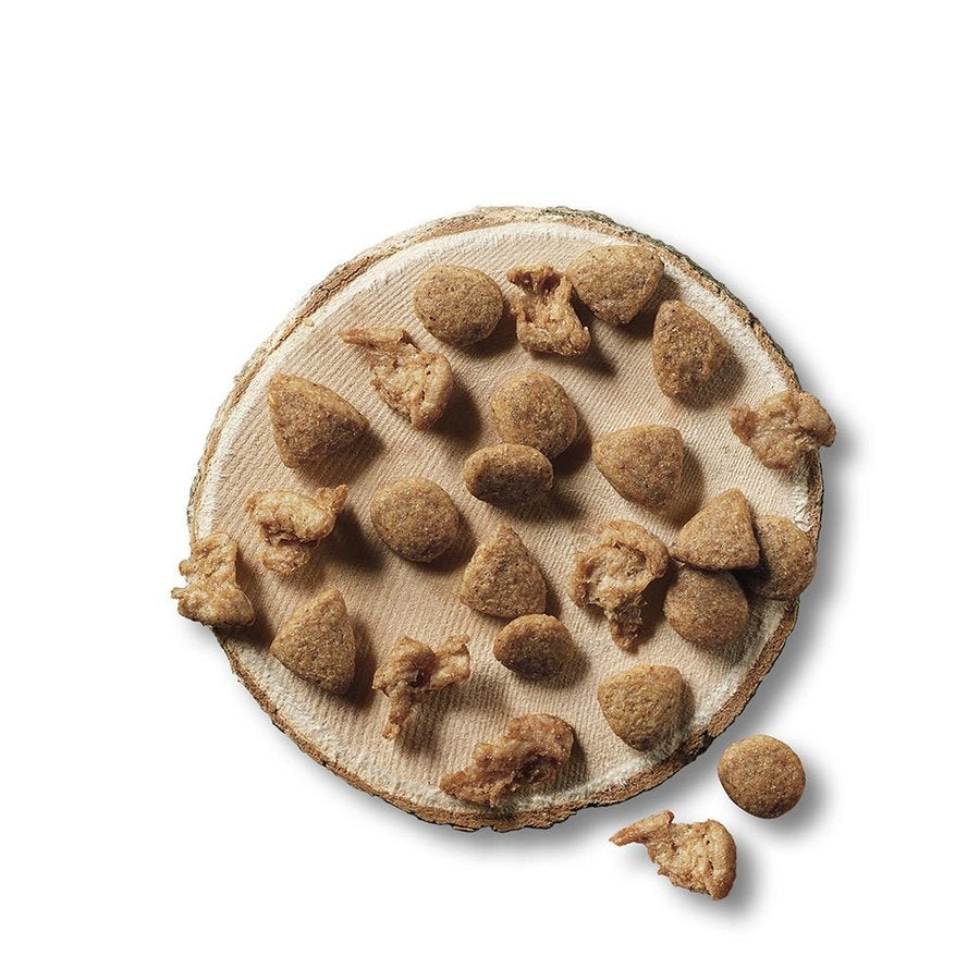 ネスレピュリナ ピュリナワン(CAT) グレインフリー チキン1.6kg / 猫 ねこ キャットフード プレミアムフード 主食 健康維持 健康 ピュリナ