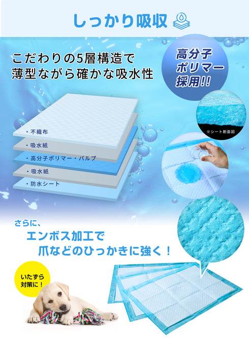 テープ付きがうれしいペットシーツ薄型 レギュラー 800枚・ワイド400 枚・スーパーワイド 200枚 / 大容量 まとめ買い 業務用ケース ペット用 犬 トイレシート 1回使い捨て いぬ 猫 ねこ システムトイレ マーキング防止 ずれ防止 壁