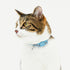 pipi CATカラー 猫用首輪 - MOFF