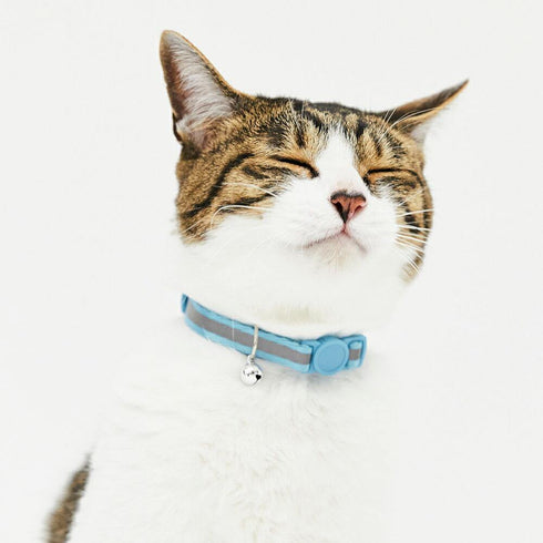 pipi CATカラー 猫用首輪 - MOFF