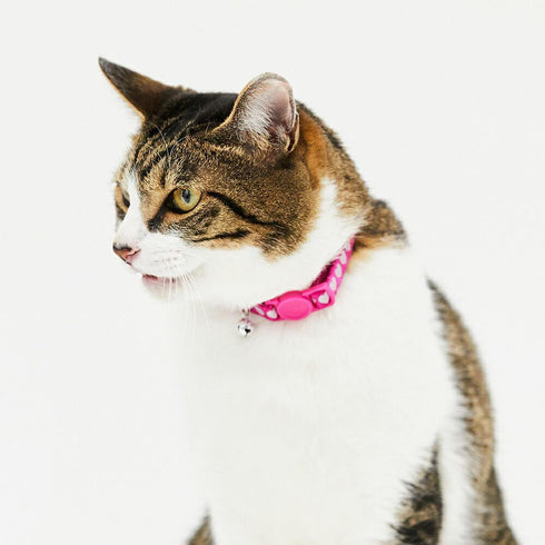 pipi CATカラー 猫用首輪 - MOFF