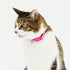 pipi CATカラー 猫用首輪 - MOFF