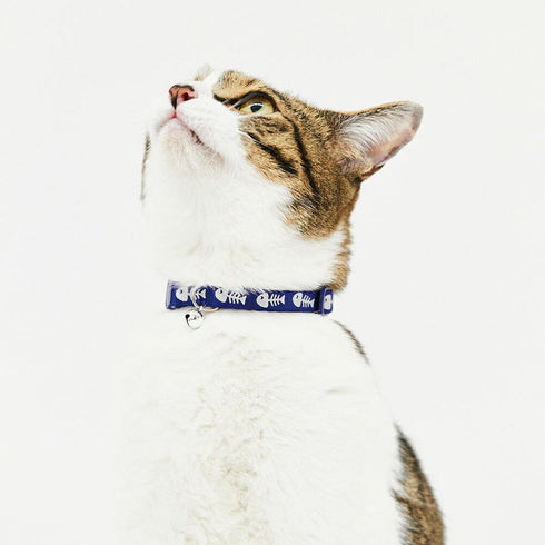 pipi CATカラー 猫用首輪 - MOFF