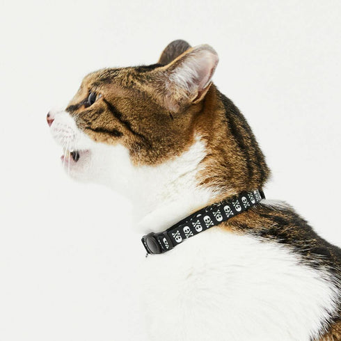 pipi CATカラー 猫用首輪 - MOFF