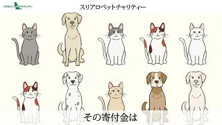 スリアロペットチャリティー - スリーアローズと一緒に動物保護活動