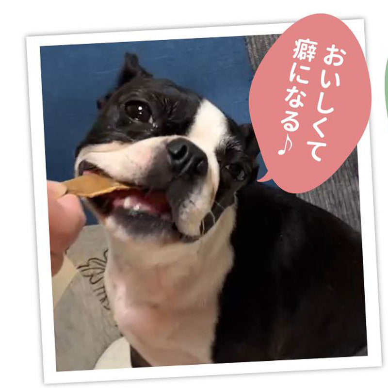 国産 牛タン皮　大容量480g 犬用おやつ 食いつき抜群