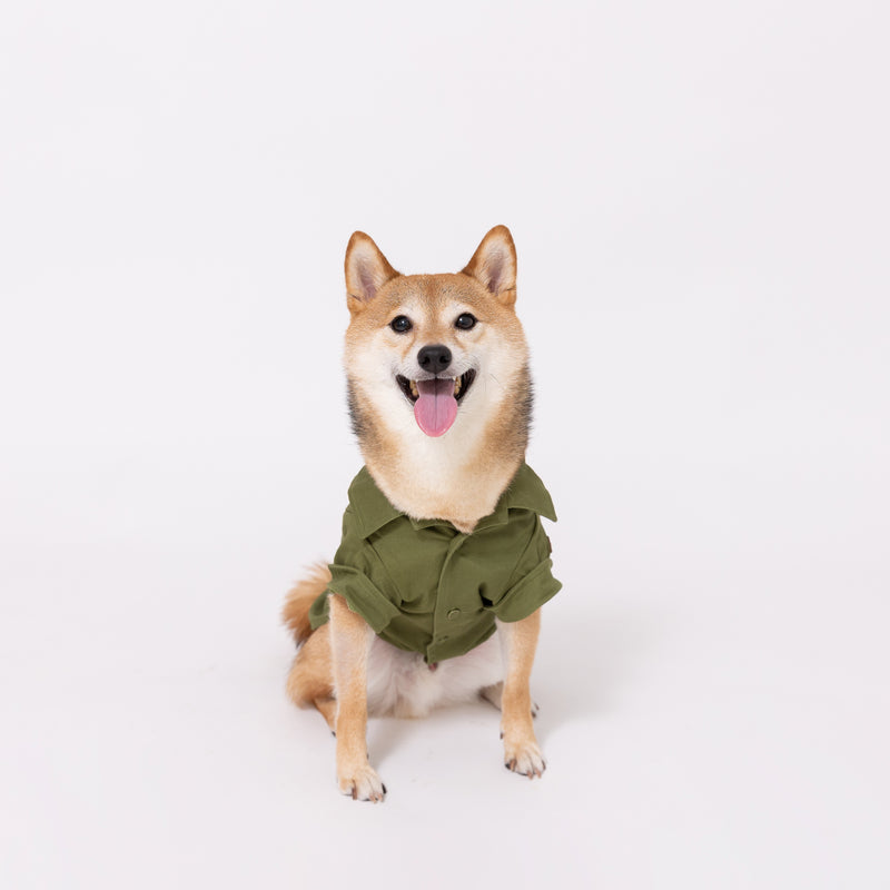 JeepⓇ サファリシャツ 犬服 ジープ 犬服 服 犬 秋 冬 秋服 冬服 秋冬服 ペット用品 ペットグッズ ペットウェア