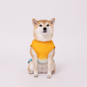 OUTDOOR PRODUCTS グラデーションクールタンク 中大型犬 ペット用品 26SS