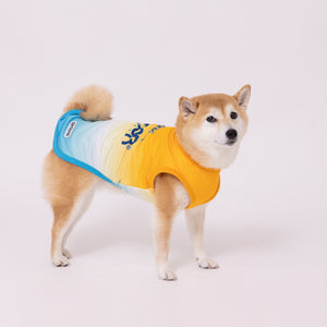 OUTDOOR PRODUCTS グラデーションクールタンク 中大型犬 ペット用品 26SS