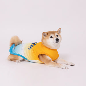 OUTDOOR PRODUCTS グラデーションクールタンク 中大型犬 ペット用品 26SS