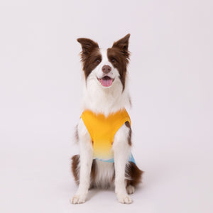 OUTDOOR PRODUCTS グラデーションクールタンク 中大型犬 ペット用品 26SS