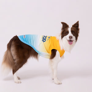 OUTDOOR PRODUCTS グラデーションクールタンク 中大型犬 ペット用品 26SS