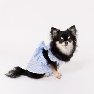pipi ギンガムチェック ワンピース ピンク/ブルー 犬 いぬ 犬服 ペットウェア ドッグウェア 春服 夏服 春夏服 ミニチュアダックス 日焼け対策 女の子 フリル かわいい