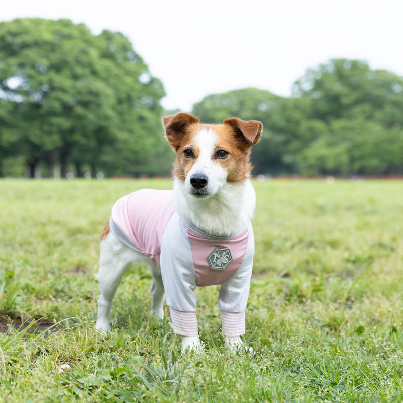 pipi 虫よけ メッシュ Tシャツ 犬 いぬ 犬服 ペットウェア ドッグウェア 春服 夏服 春夏服 ミニチュアダックス 日焼け対策 虫除け 蚊よけ 防虫 防ダニ 害虫対策