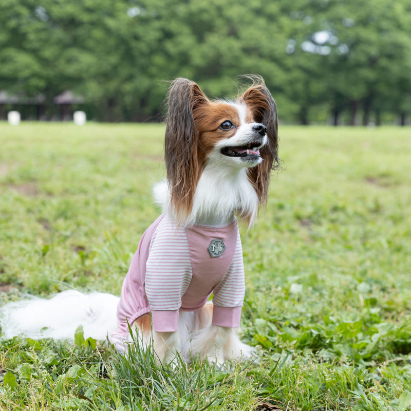 pipi 虫よけ メッシュ ロンパース 犬 いぬ 犬服 ペットウェア ドッグウェア 春服 夏服 春夏服 ミニチュアダックス 日焼け対策 虫除け 蚊よけ 防虫 防ダニ 害虫対策