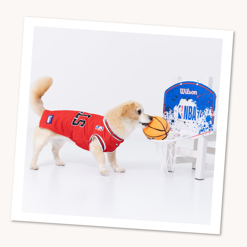 NBA Chicago Bulls ジャージー  NBA公式ライセンス ペット商品