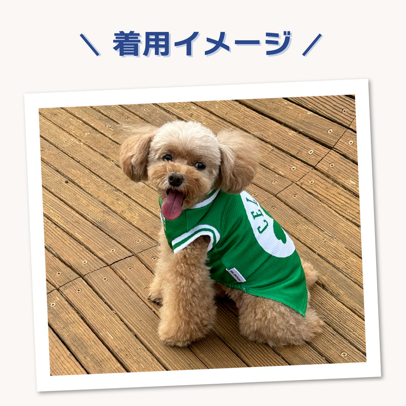 NBA Boston Celtics ジャージー  NBA公式ライセンス ペット商品