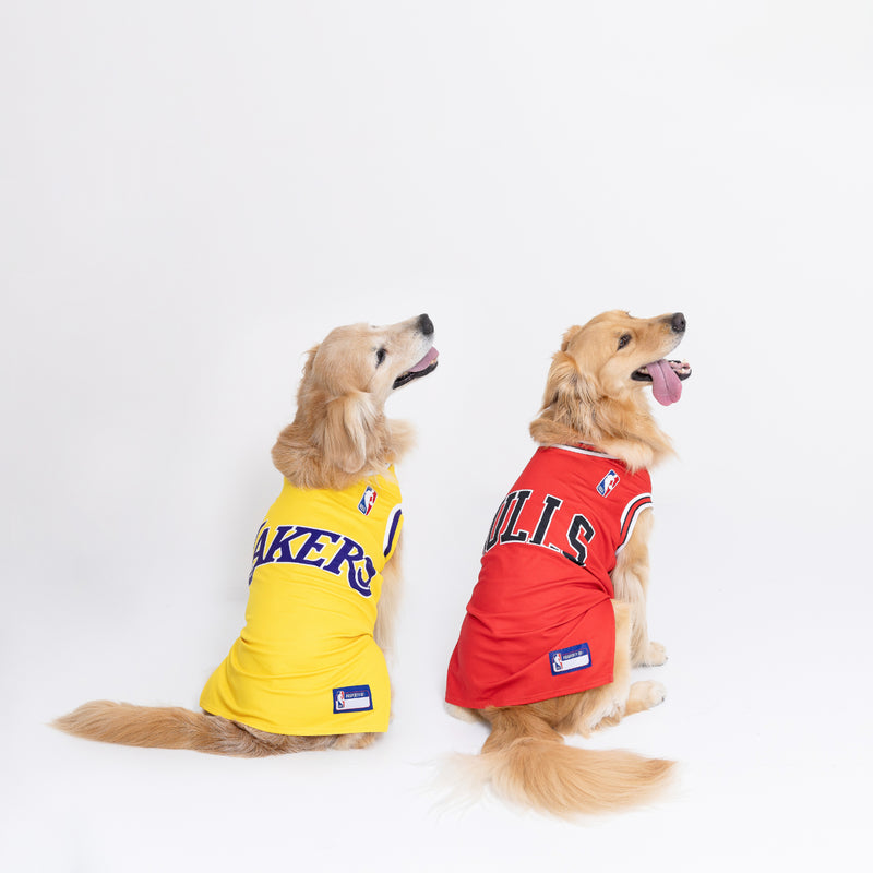 NBA Los Angeles Lakers ジャージー中大型犬  NBA公式ライセンス ペット商品