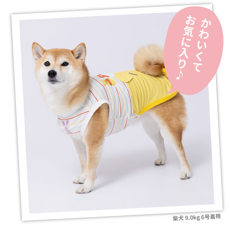 プーさんボーダーフェイスタンク中大型犬 ペット用品 接触冷感 COOL