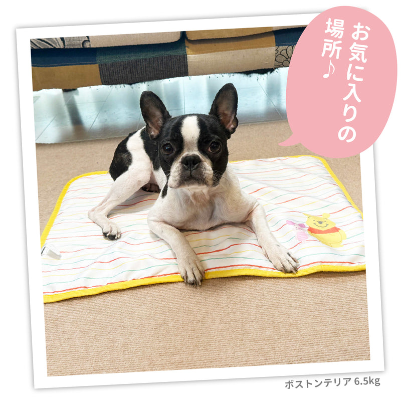 プーさんボーダークールブランケット ペット用品 接触冷感
