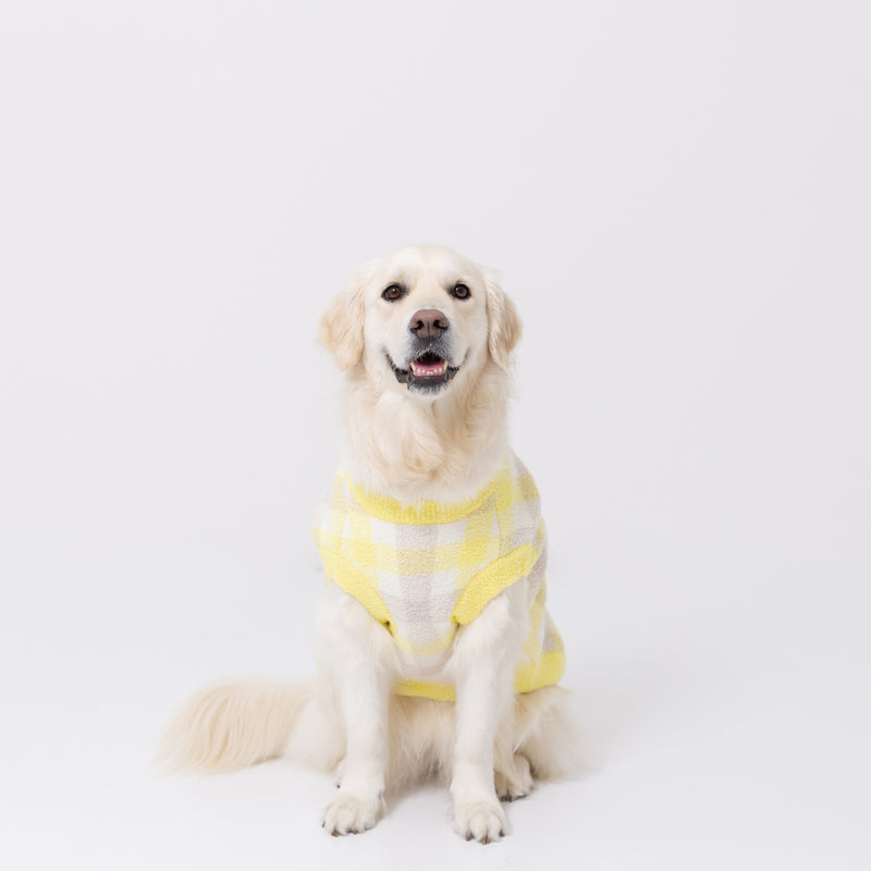 プーさんチェックシェニールニット中・大型犬 ペット用品