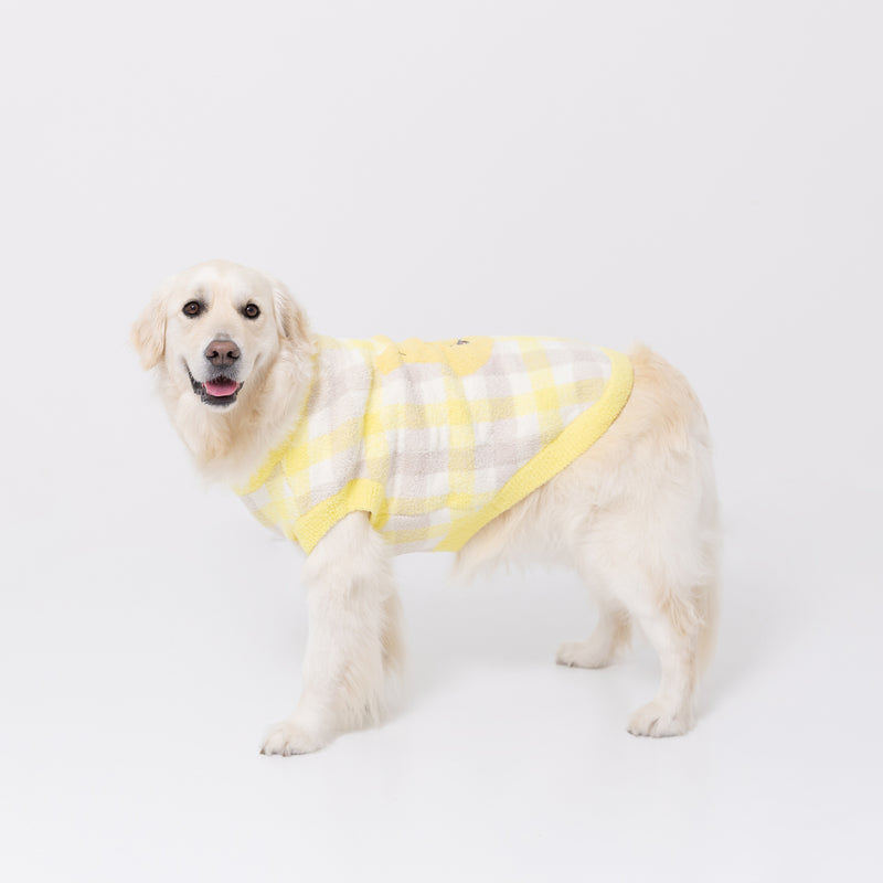 プーさんチェックシェニールニット中・大型犬 ペット用品