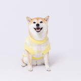 プーさんチェックシェニールニット中・大型犬 ペット用品
