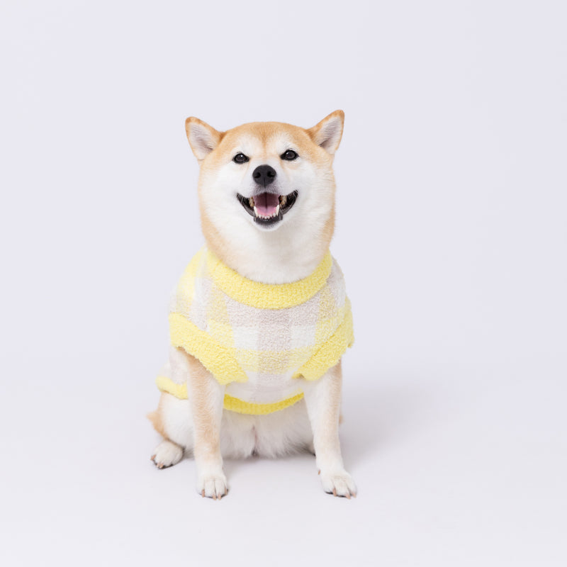 プーさんチェックシェニールニット中・大型犬 ペット用品