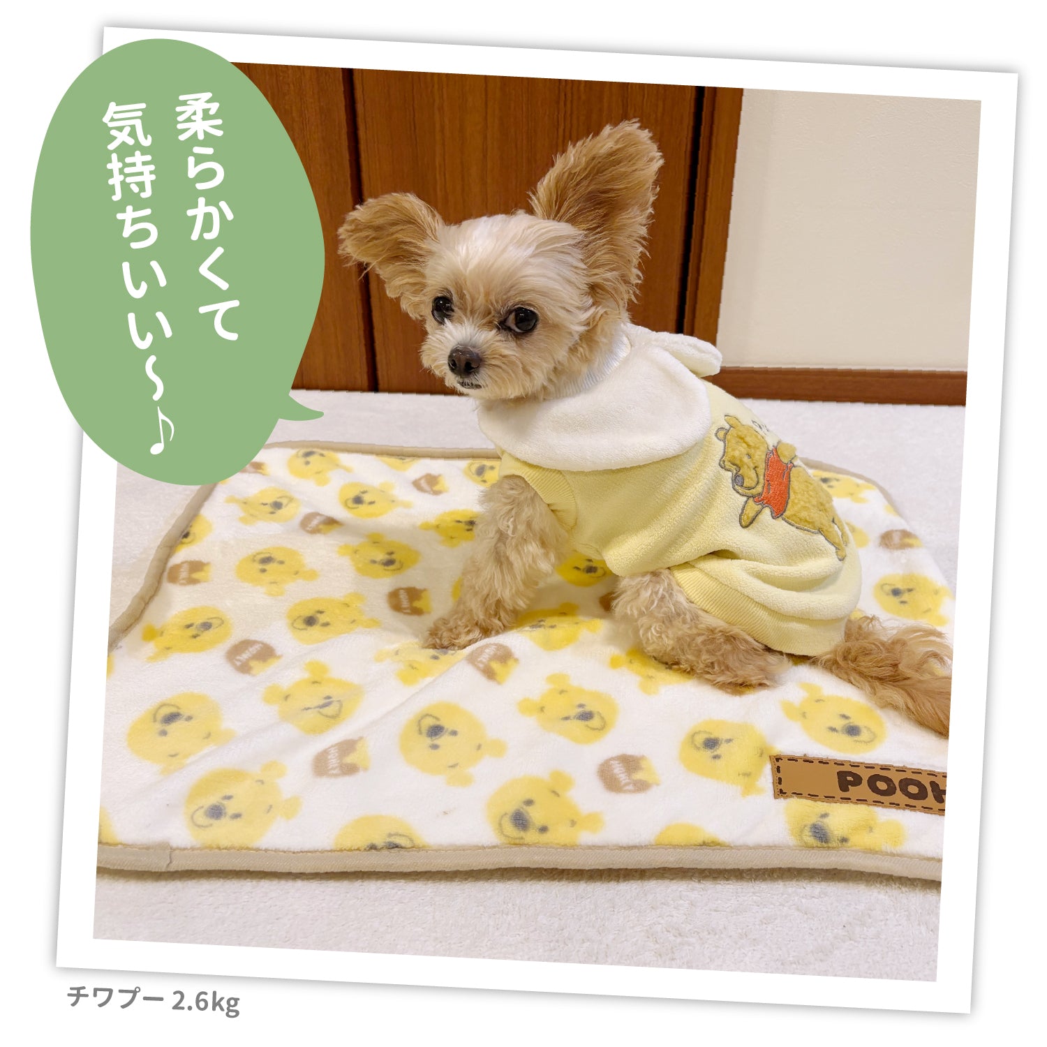 プーさんハニーボアブランケットM ペット用品